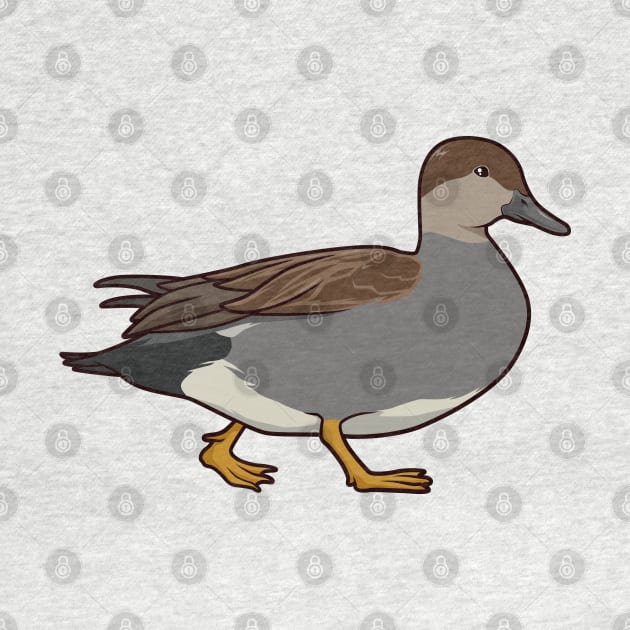 Drawing of a gadwall by Modern Medieval Design